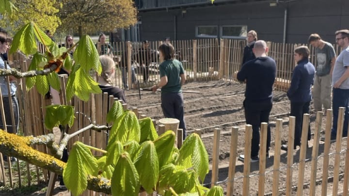 From Lecture Hall to Garden Bed: Leuphana's New CampusAckerdemie