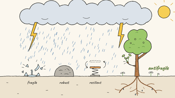 Better After the Shock? What Antifragility Can Offer Sustainability Science